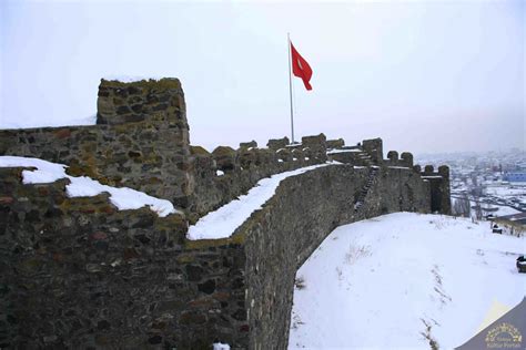 Ardahan Merkez terapi halı yıkama