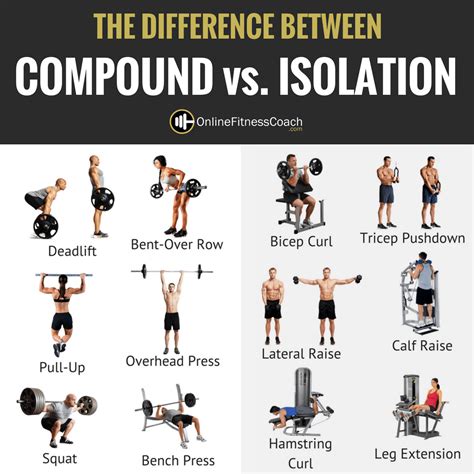 Are Compound Exercises Better Than Isolation Exercises 