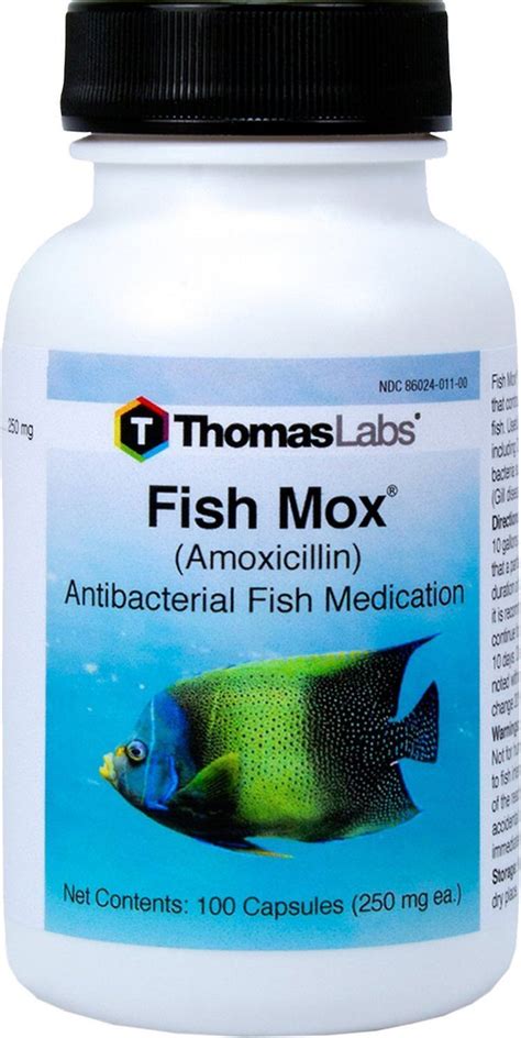 Are Fish Tank Antibiotics Safe For Humans? (Helpful …