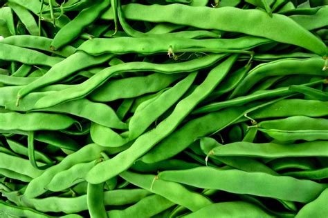 Are French Beans The Same As Runner Beans? - Stellina Marfa