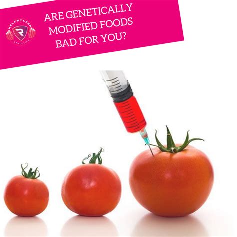 Are Genetically Modified Foods Bad for you? - Relentless Athletics