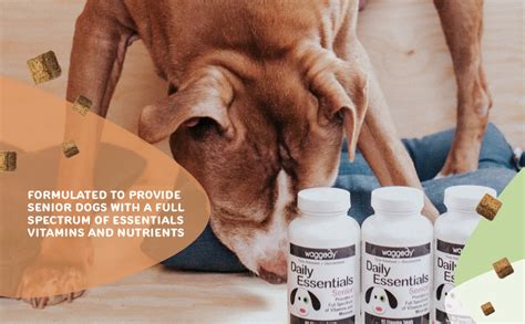 Are Magnesium Supplements Safe For Dogs