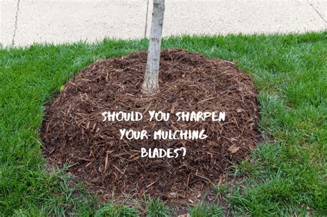 Are Mulching Blades Supposed to Be Sharp or Dull?