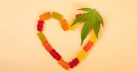 Are THC Edibles Bad For Your Heart?: Facts You Need to Know