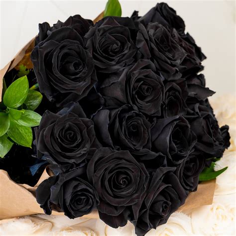 Are black roses real. 