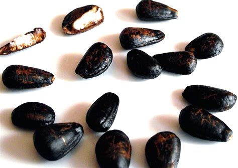 Are cherimoya seeds poisonous. Things To Know About Are cherimoya seeds poisonous. 
