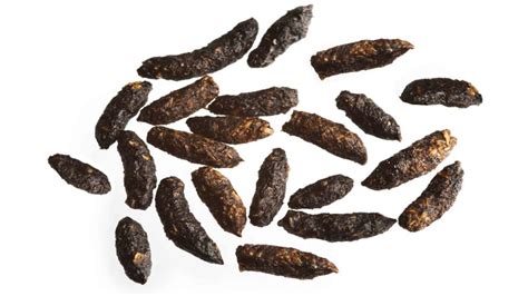 Are chipmunk droppings dangerous.  These small, striped rodents, with their...