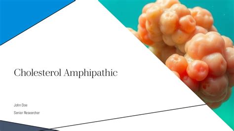 Are cholesterol amphipathic.  https://www.  Feb 7, 2025 · ANSWER: Cholesterol ...
