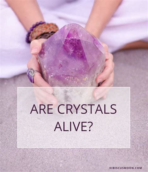 Are crystals alive? - Quora