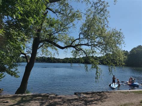 Are dogs allowed at Crystal Lake Newton? [Facts!]