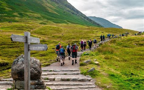 Are dogs permitted on the Ben Nevis tourist path? - go4awalk.com