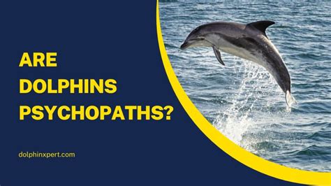 Are dolphins psychopaths. Things To Know About Are dolphins psychopaths. 