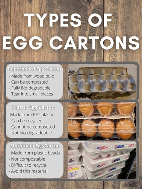 Are egg cartons biodegradable? Can they be composted?