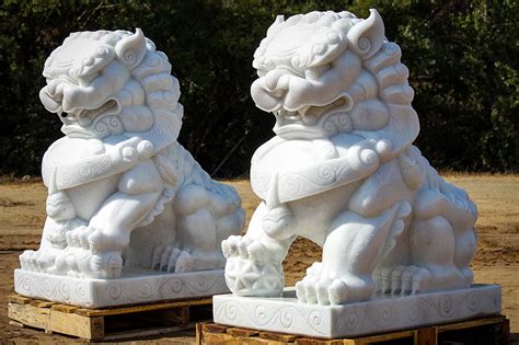 Are foo dogs evil? - Mi Dog Guide