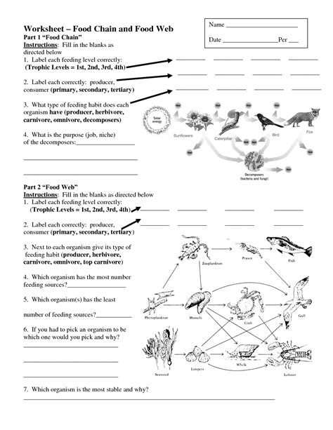 Are food webs and food chains the same? - Answers