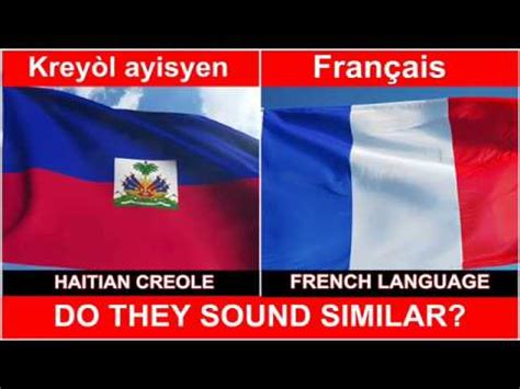 Some of the Haitians are a mix of (french people and Afri