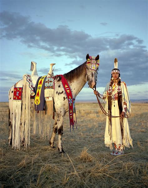 Are horses native to america. What we do know is that horses quickly became an integral part of life for many Native American tribes. They were used for transportation, hunting, and even warfare. In fact, some historians believe that the introduction of horses into America played a major role in the decimation of certain Native American tribes, such as the Plains Indians. 