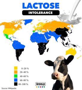 According to Johns Hopkins Medicine, lactose intolerance is more common in Asian Americans, African Americans, Mexican Americans, and Native Americans. Analysis of the DNA of 94 ancient skeletons in Europe and Russia concluded that the mutation for lactose tolerance appeared about 4,300 years ago and spread throughout the European population. . 
