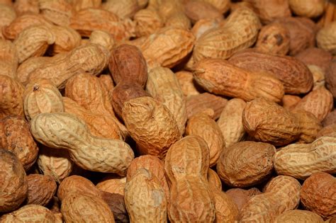 Are peanuts native to america. Things To Know About Are peanuts native to america. 