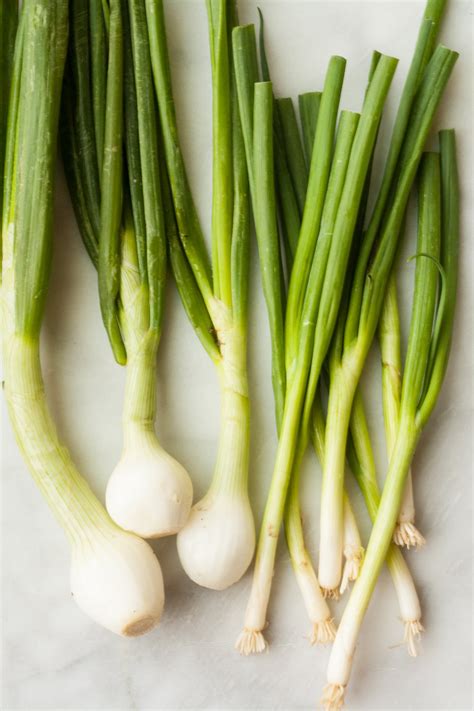 Are scallions green onions. An onion is a bulb. They belong to the allium family, which is also home to edible plants such as chives (also known as scallions), garlic, leeks and shallots. As an onion begins t... 