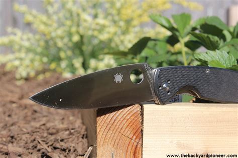 Are the Spyderco Byrd knives worth it? BladeForums.com