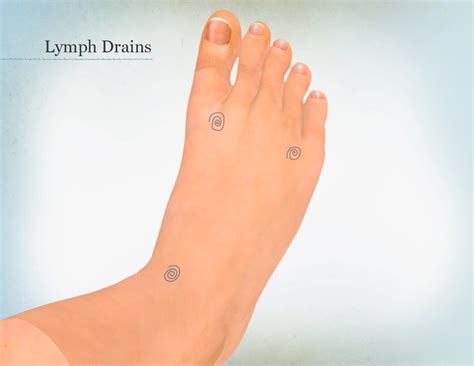 Are there lymph nodes in your feet? HealthTap Online Doctor