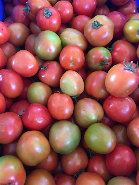 Are tomatoes native to america. Tomato · Tomatoes originate from America and there are 1700 varieties grown around the world today. · A short history of the tomato, from its origins to the ... 