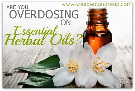 Are you OVERDOSING on Essential Herbal Oils?