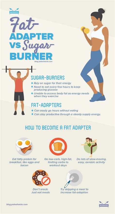 Are you a fat burner or a sugar burner? Health & Food