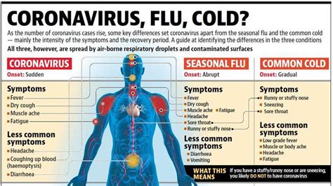 Are you as likely to die from a common cold as COVID …