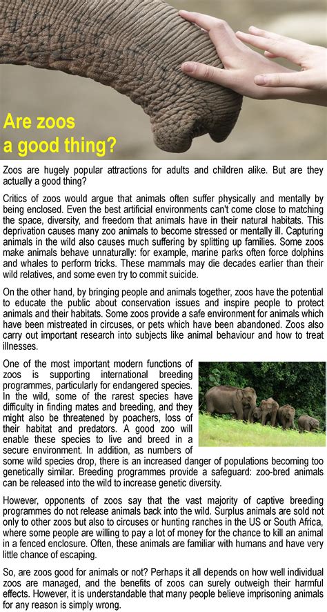 Are zoos a good thing? LearnEnglish Teens - British Council