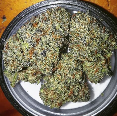 Area 41 Marijuana Strain Information & Reviews AllBud