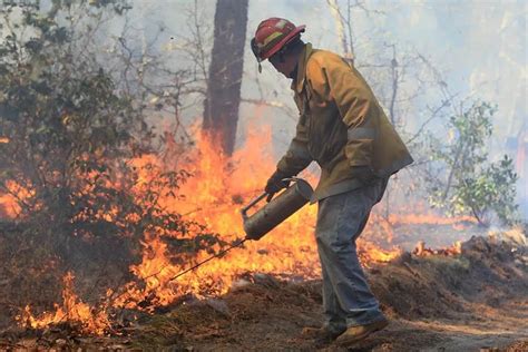 Area Firefighters Contain 45-Acre Houston County Forest …