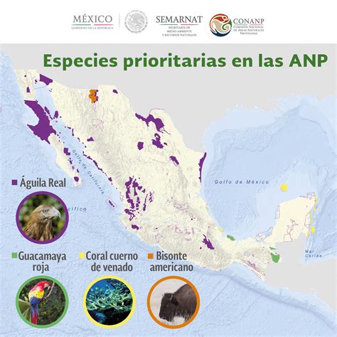 Areas naturales protegidas en méxico y especies en extinción. - Case international 5140 manuale di riparazione.