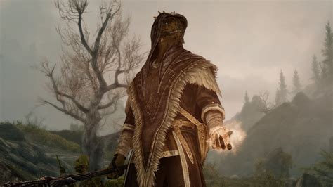Argonian stealth mage.  Each build maximizes combat, magic, or stealth potential...