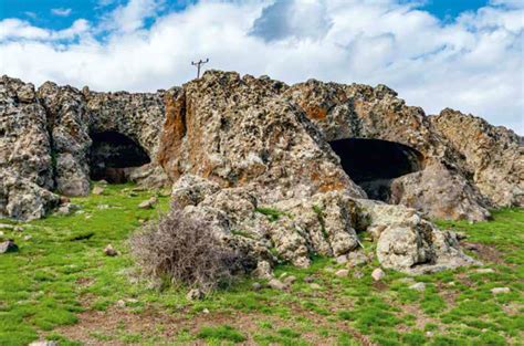 Arguvan Halı ve Koltuk Yıkama