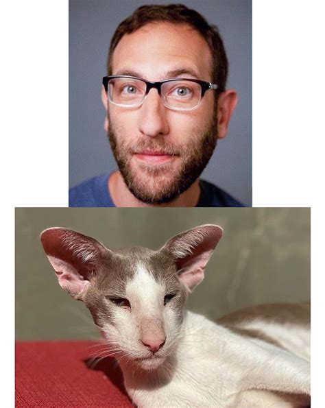 Ari shaffir cat. Since it's unlikely you and your cat take long strolls on the beach getting to know one other, you'll have to stick to finding out if you are astrologically compatible. Yes, we kno... 