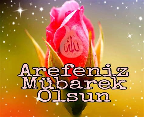 Arife& Mehmet DAĞTEPE |MİZAH|GEZME|SUNUM| Anne olmak üzerine.