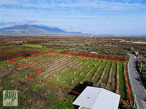 Arikalti Halı ve Koltuk Yıkama