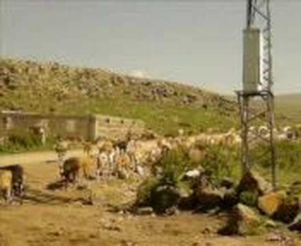 Arikonak Halı ve Koltuk Yıkama