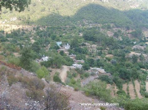 Aritepe Halı ve Koltuk Yıkama