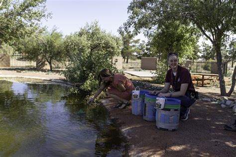 Arizona Game and Fish Kingman Kingman AZ