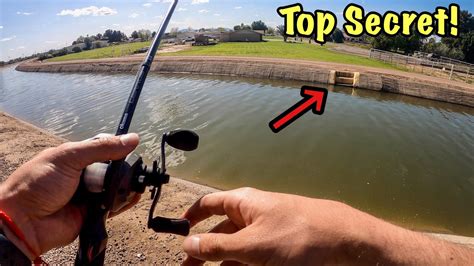 Arizona canal fishing - YouTube