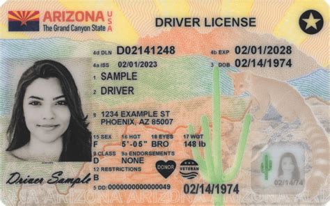 The Arizona Travel ID is Here. More Information; Types of Licenses. MVD offers several types of licenses. Where To Go. MVD Offices; Authorized Third Parties -- These are privately operated businesses contracted with MVD to provide driver license and title and registration services. . 