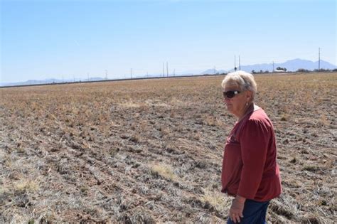 Arizona farmers are slammed by water cuts in the West amid drought …