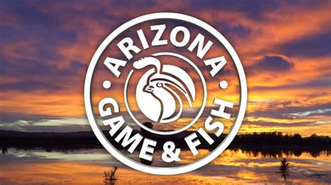 Arizona fish and game. Things To Know About Arizona fish and game. 