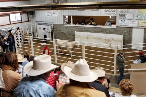 13% of the gross sale price + $25 entry (covers boarding starting on auction day until the close of the following day). Sheep, Goats, Cattle, and other large livestock 15% Caged/Boxed animals including rabbits and birds 25%. 