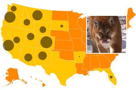 Arizona mountain lion population. .  <a href=http://www.repper.ro/sites/d...