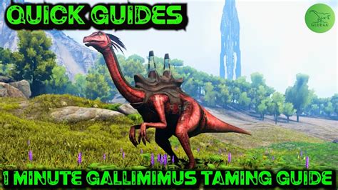 Ark Quick Guides - Gallimimus - The 1 Minute Taming Guide!