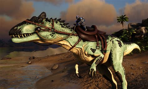 The Megalosaurus Saddle is used to ride a Megalosaurus after you have tamed it. It can be unlocked at level 57. ... Allosaurus • Ankylosaurus • Araneo • Arthropluera • Baryonyx • Basilisk • Basilosaurus • Beelzebufo • Brontosaurus • Carbonemys • Carnotaurus • Chalicotherium • Daeodon • Deinonychus • Direbear .... 
